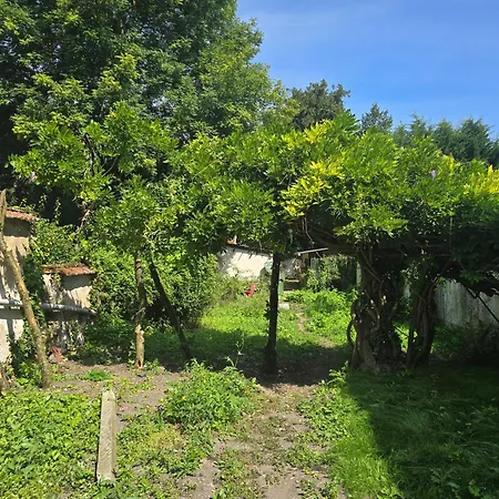 La Glycine 公寓 库洛米耶