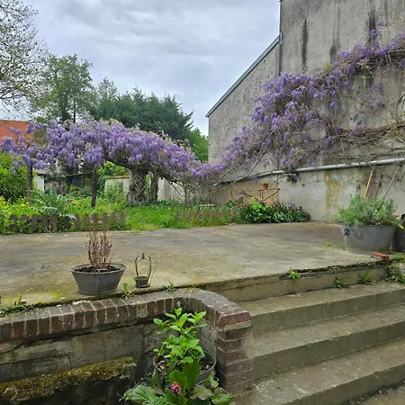 La Glycine *