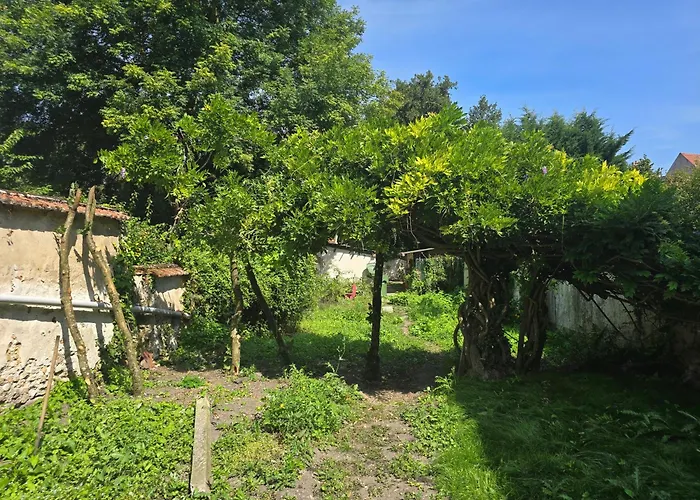 La Glycine 公寓 库洛米耶