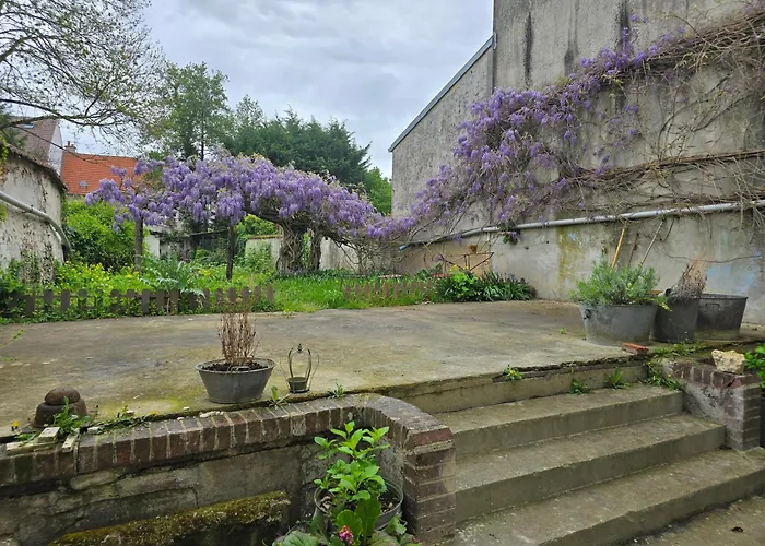 La Glycine *
